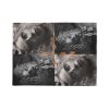 Lady Gaga The Dead Dance Ultra Soft Micro Fleece blanket